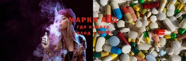 мяу мяу мука Белокуриха
