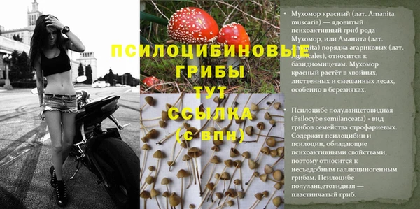 прущие крисы Беломорск