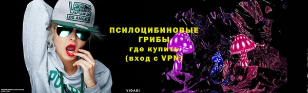 мяу мяу мука Белокуриха