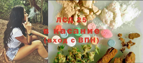 мяу мяу мука Белокуриха