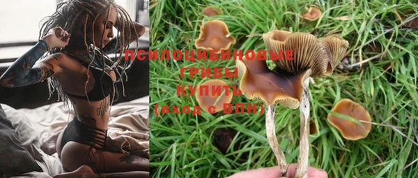 прущие крисы Беломорск