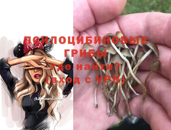 молекула духа Белоозёрский