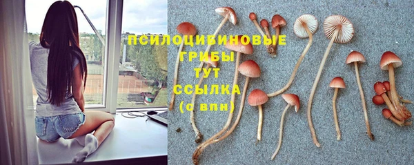 молекула духа Белоозёрский