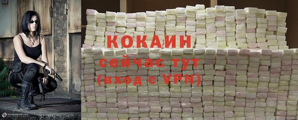 прущие крисы Беломорск